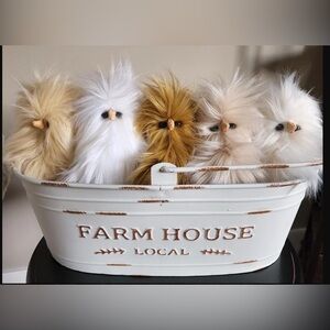 ADORABLE “chicken nugget” chick stuffed animal plushie in pumpkin spice 5.5”